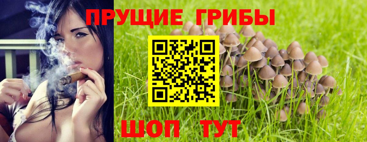 Симферополь  Галлюциногенные грибы Cubensis  Вход с VPN 