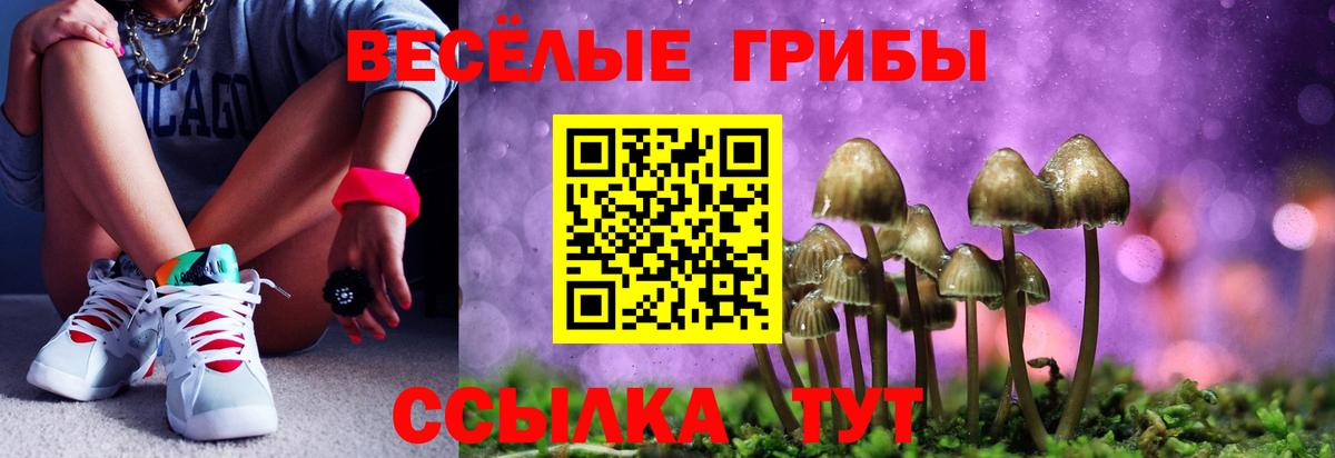 Псилоцибиновые грибы прущие грибы Симферополь